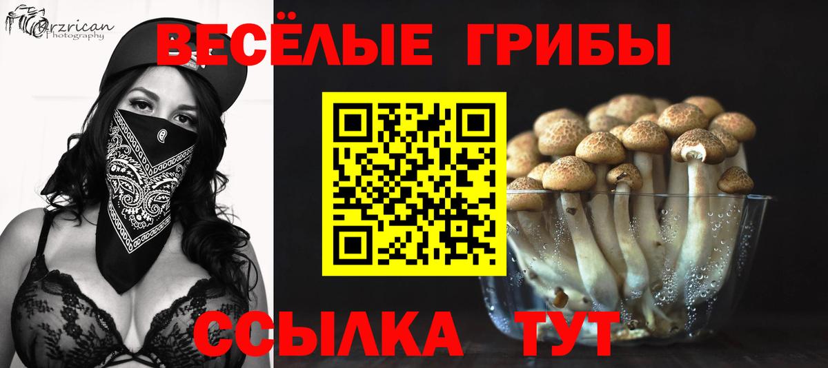 Галлюциногенные грибы Magic Shrooms Тольятти