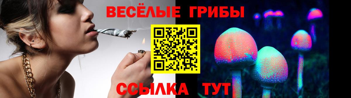 Тольятти  Галлюциногенные грибы Psilocybine cubensis  Вход с VPN 